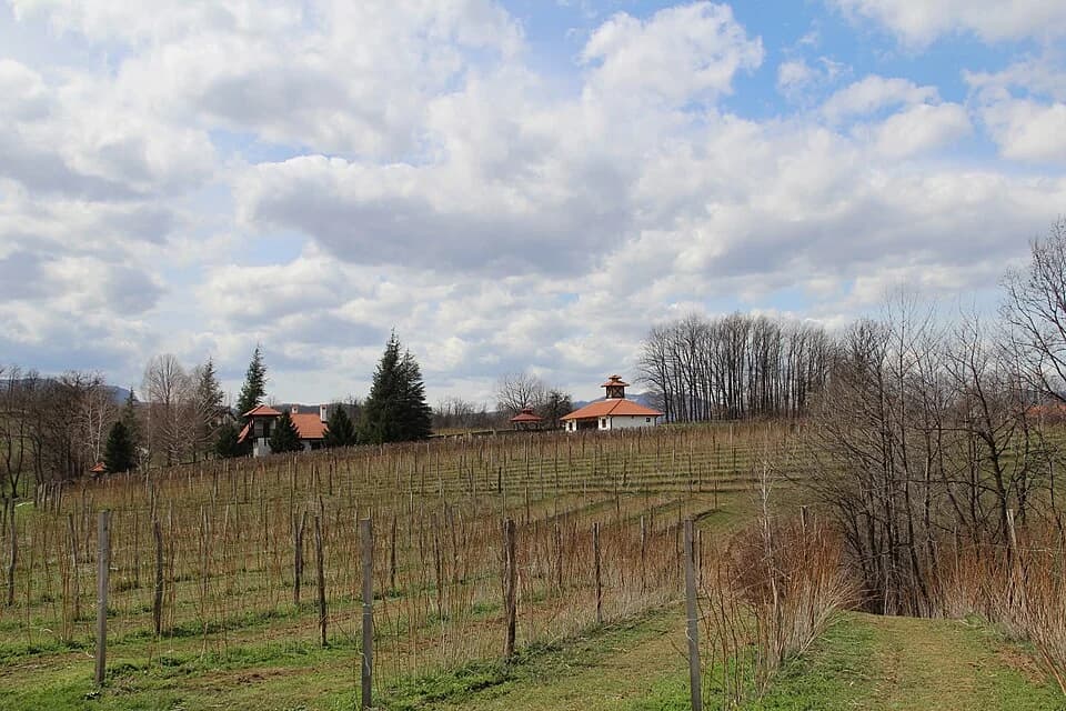Sušica