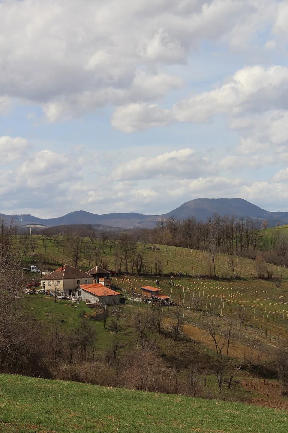 Sušica