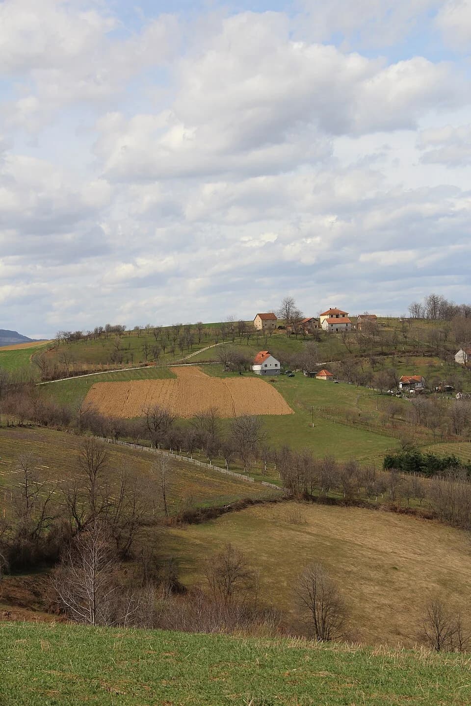 Sušica