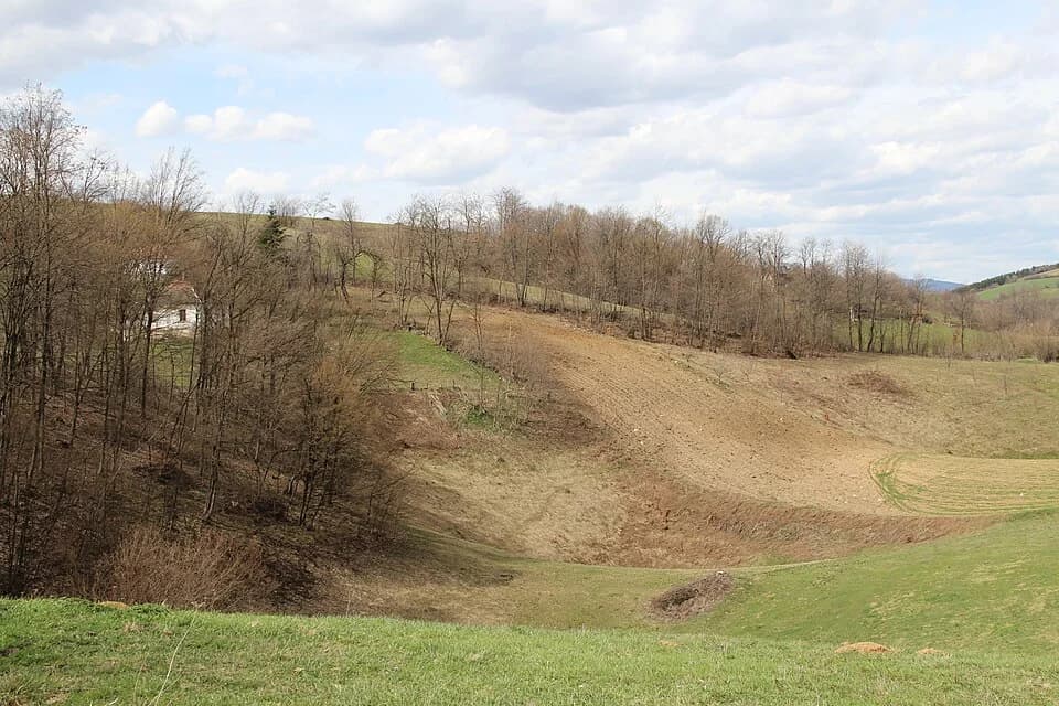 Sušica