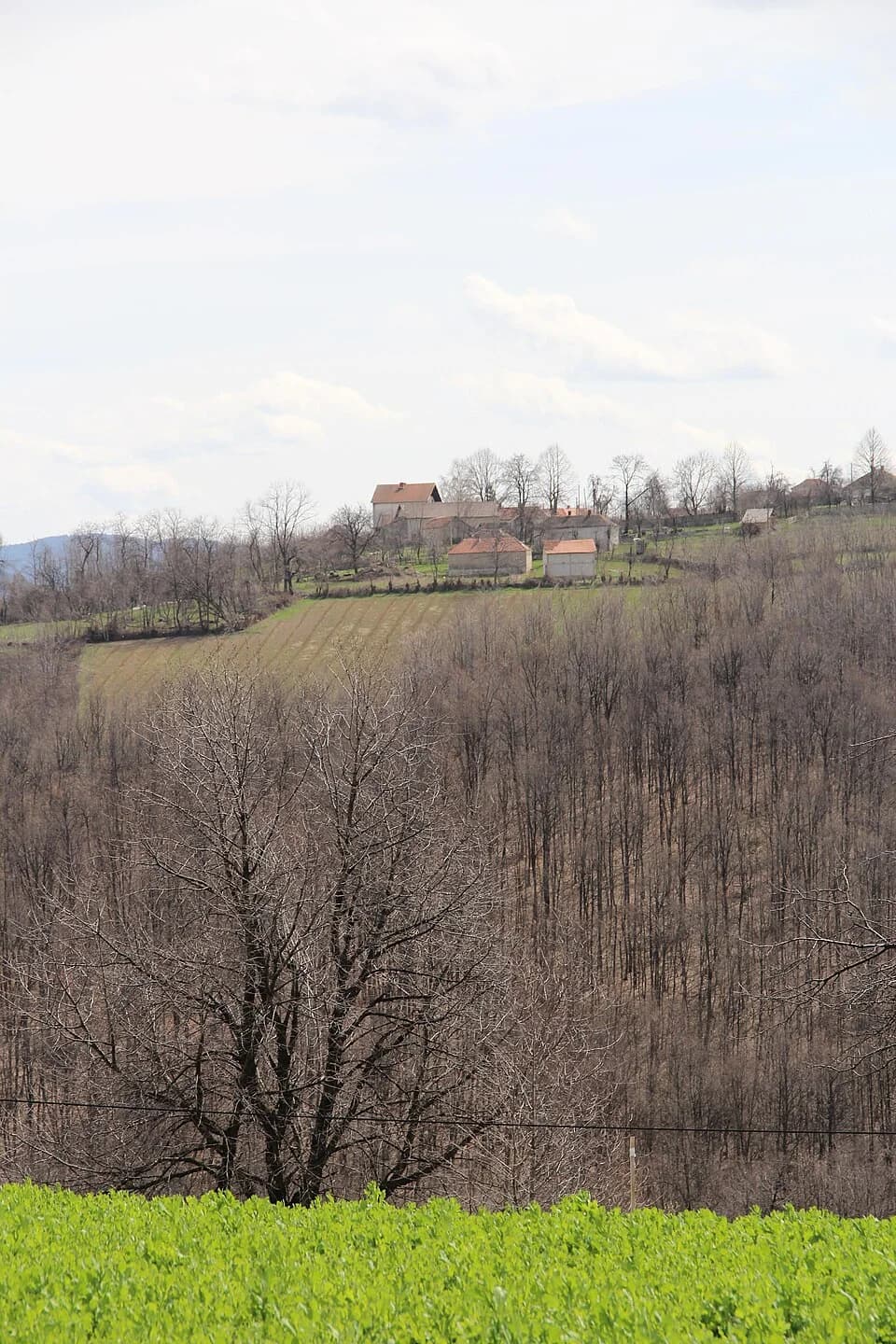 Sušica