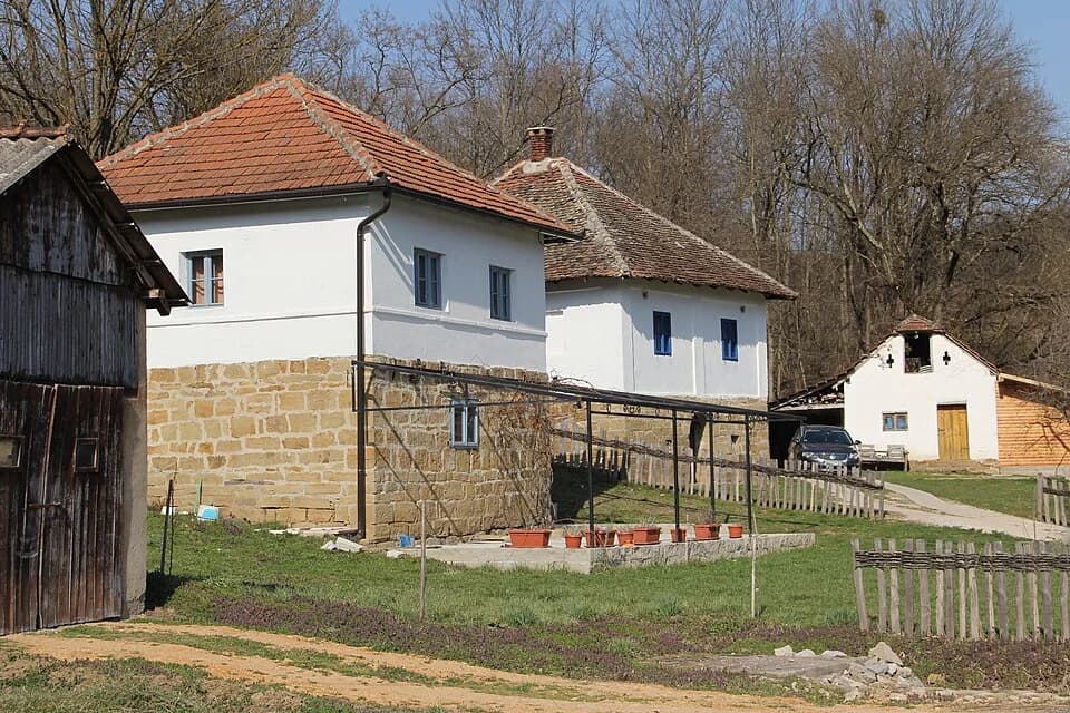 Turica