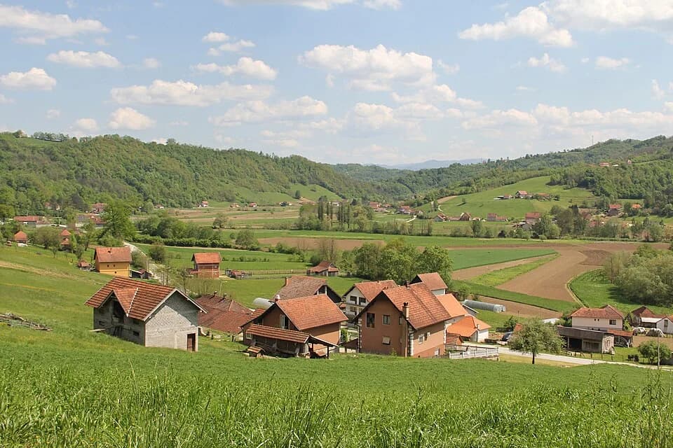 Turica