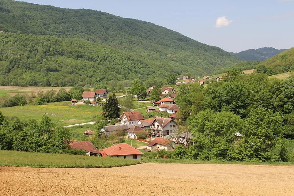 Turica