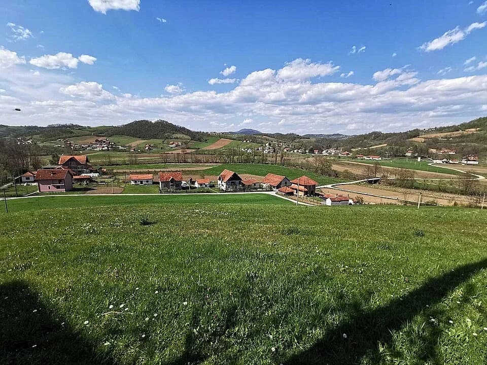 Turica