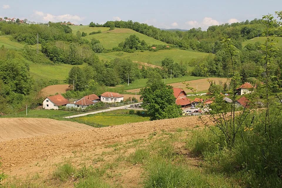 Turica