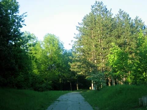 Čačalica