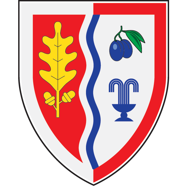 Grb Ljig